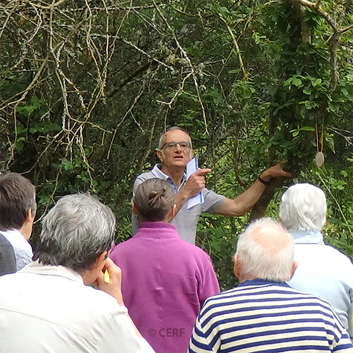Arbres_16.06.19_PdH_7106 copie