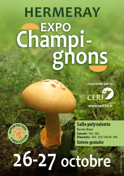 Exposition Champignons 2024