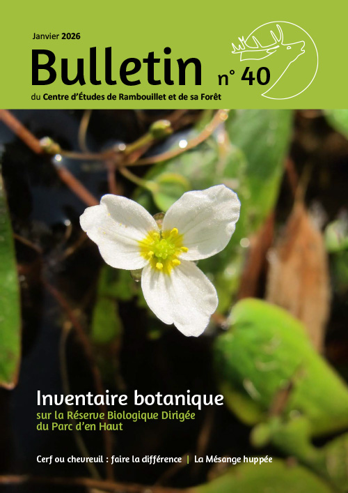 Bulletin 40