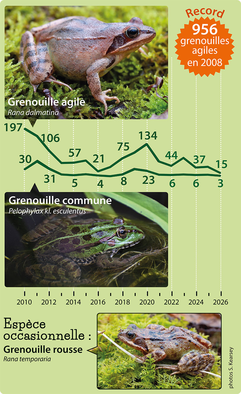 courbes Grenouilles, courbes 2010-2026