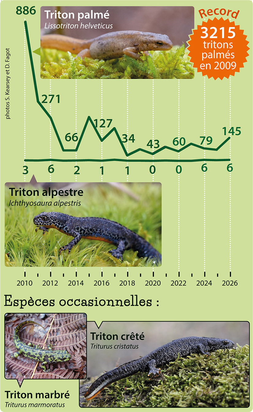 courbes2010-2026 Tritons, courbes 2010-2026